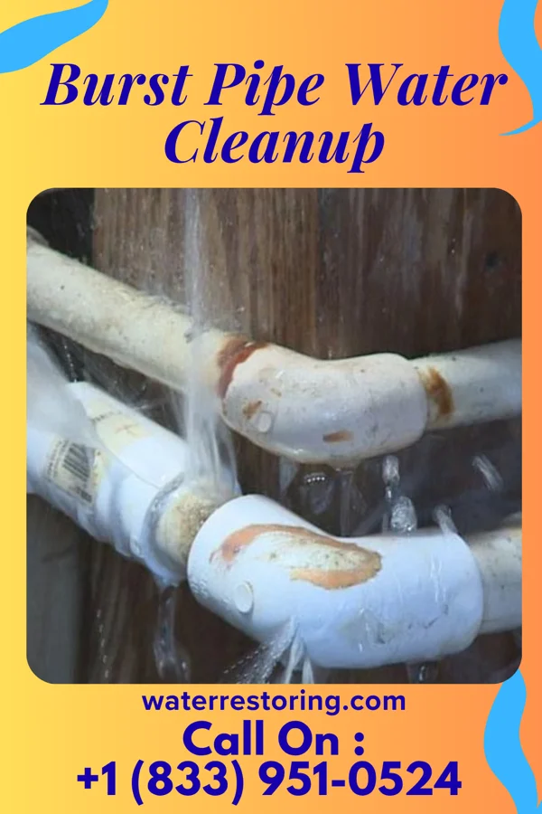 Burst Pipe Water Cleanup in Otoe, NE