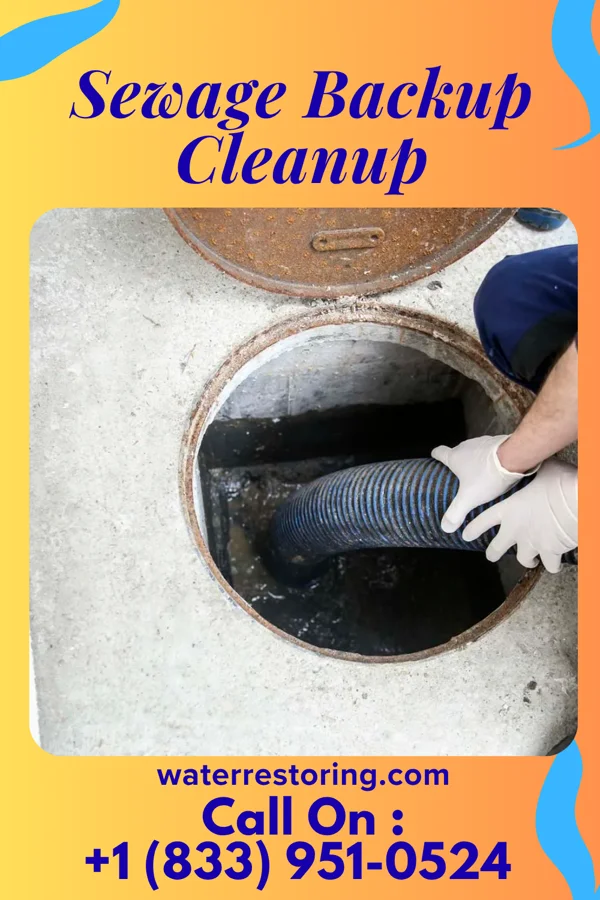 Sewage Backup Cleanup in Otoe, NE