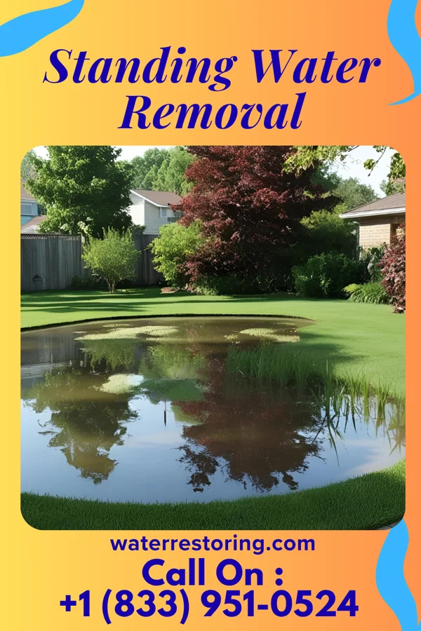 Standing Water Removal in Otoe, NE